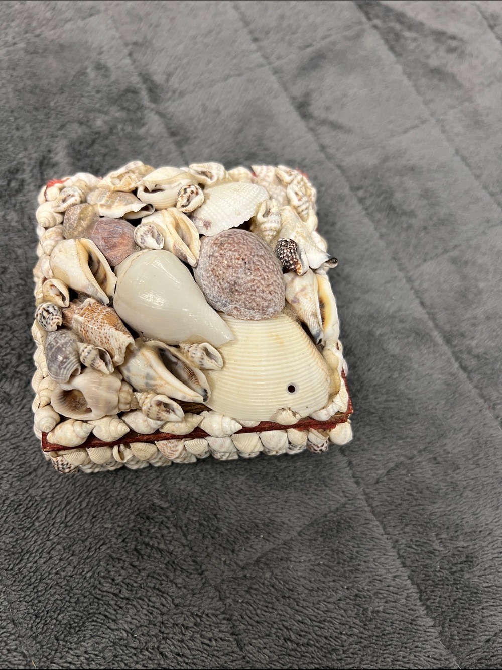 Handcrafted Shell Accent Box - Natural Cream and Tan